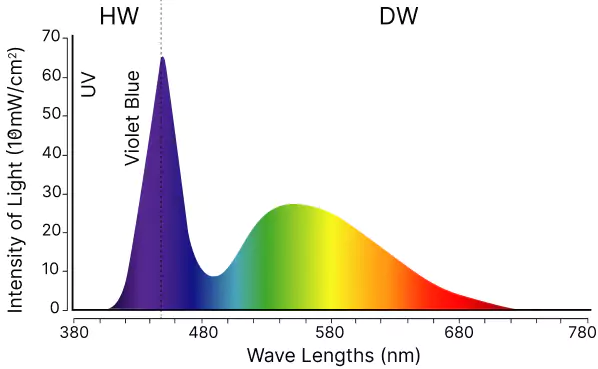 Spectrum of white LED light
