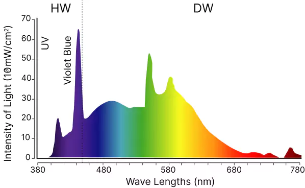 Spectrum of neon light